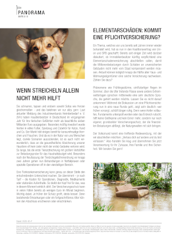 PDF Vorschaubild